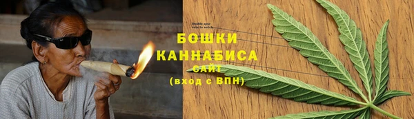 прущие грибы Баксан