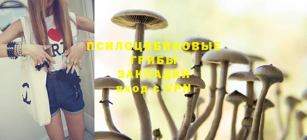 прущие грибы Баксан