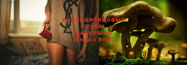 ГАЛЛЮЦИНОГЕННЫЕ ГРИБЫ Балахна