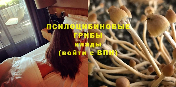 mdpv Балабаново