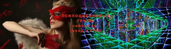 ГАЛЛЮЦИНОГЕННЫЕ ГРИБЫ Балахна