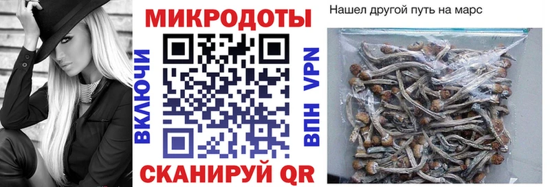 Галлюциногенные грибы Psilocybine cubensis  купить наркотики сайты  Истра 