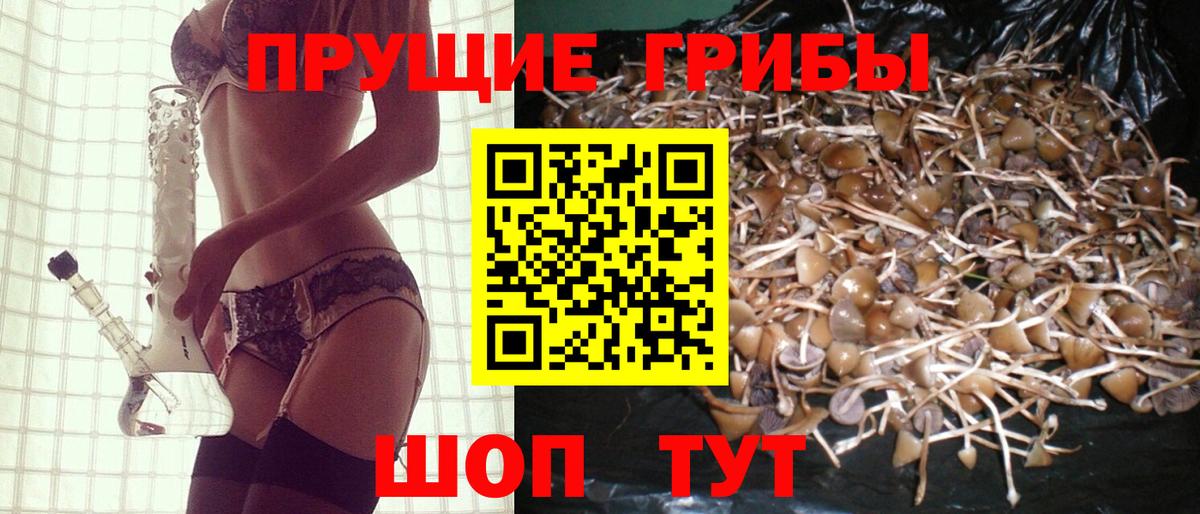 Галлюциногенные грибы Psilocybine cubensis Истра