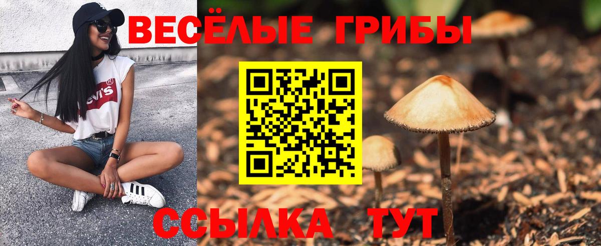 Галлюциногенные грибы Magic Shrooms  Вход с VPN  Истра  сколько стоит  Псилоцибиновые грибы Magic Shrooms 
