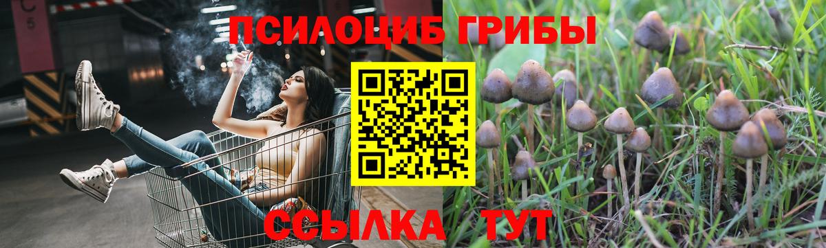 Галлюциногенные грибы мицелий Истра